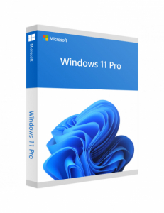 Windows 11 Pro 64bit OA3 (Installiert inkl Key)